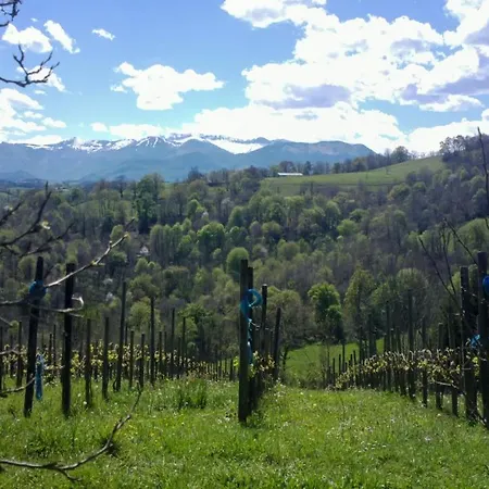 Lodge Cabane Vigneronne *
