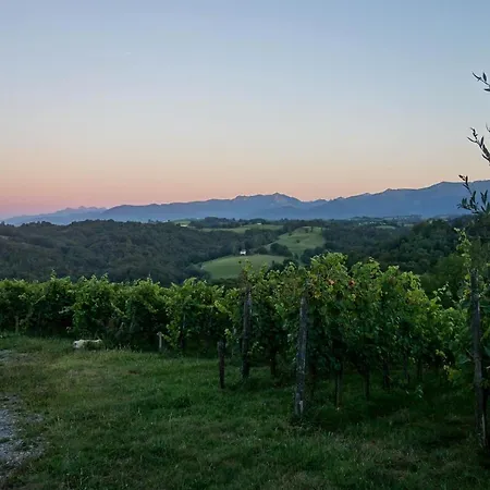 Cabane Vigneronne * Gan
