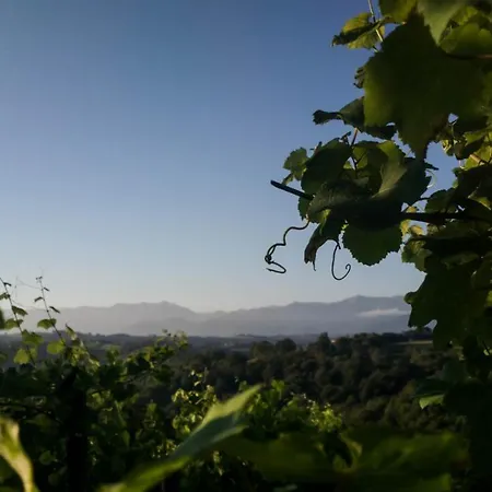 Lodge Cabane Vigneronne *