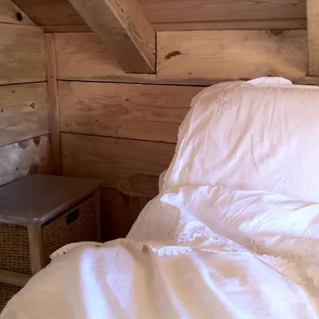 Cabane Vigneronne * Gan