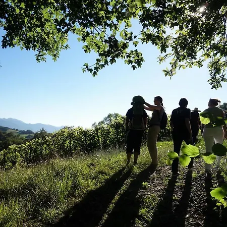 Lodge Cabane Vigneronne Gan